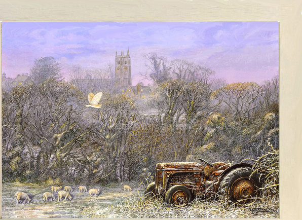 Image of Home to Roost, Barn Owl & Old Fergie, Daisy's Field, St. Columb Major.